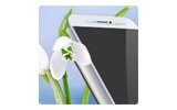 Цены снижено на дисплеи для Apple iPhone
